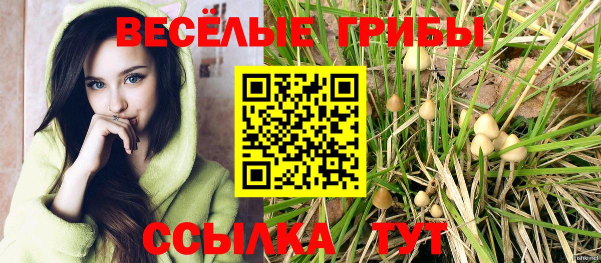 Кстово  Галлюциногенные грибы Psilocybine cubensis  Вход с VPN 